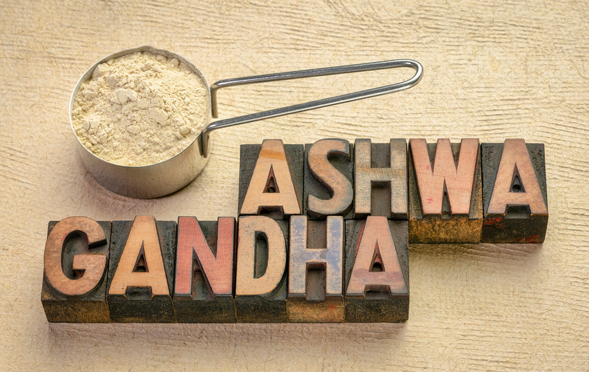 image for article - Ashwagandha Benefits: How The Herb Helps Reduce Stress†