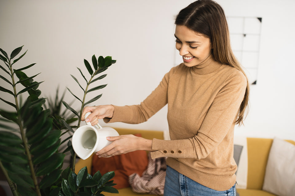 Woman in tan top watering a plant indoors.