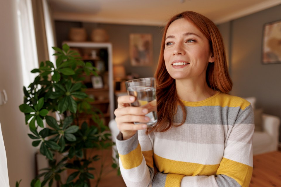 Person in a yellow, grey and white stripped sweater standing next to a plant in a living room with a glass of water in her hand.