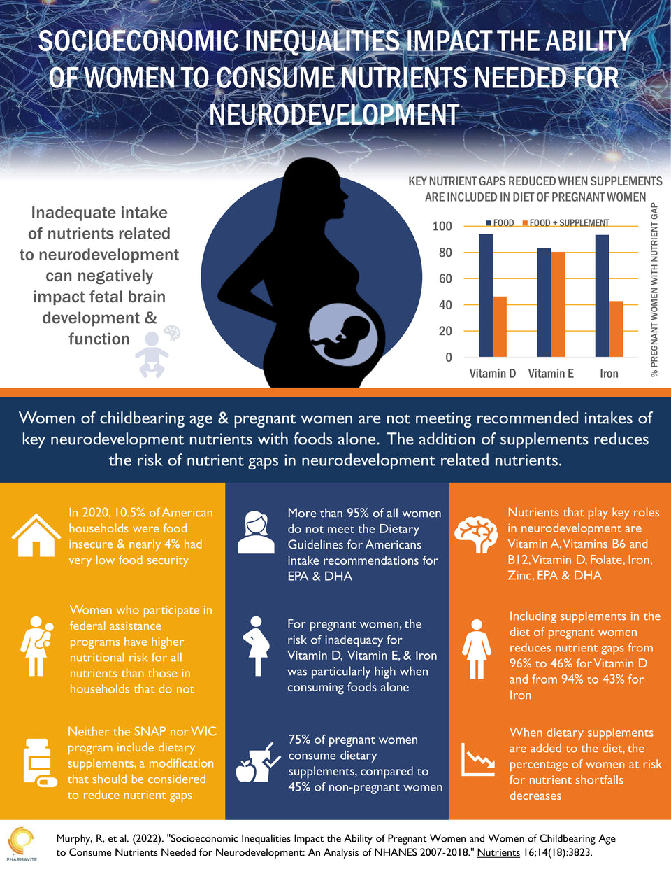 Socioeconomic Inequalities Impact The Ability Of Women To Consume Nutrients Needed For Neurodevelopment