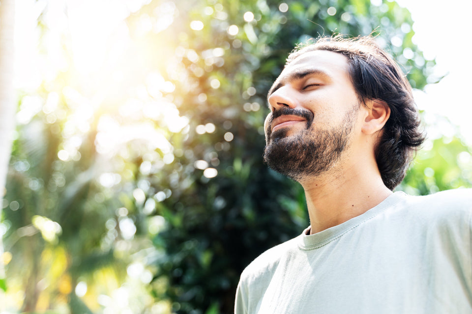 What Helps Vitamin D Absorption?