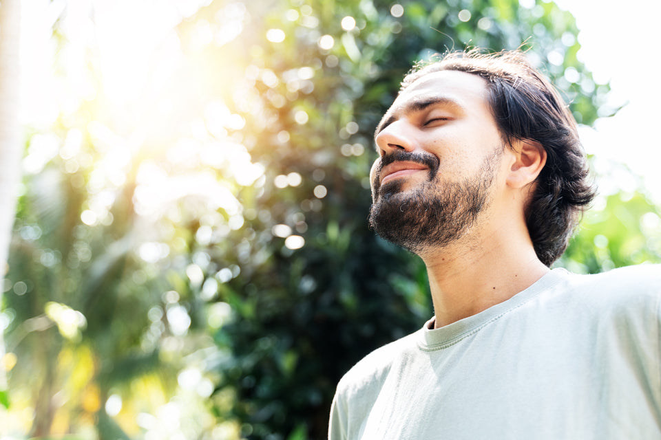 What Helps Vitamin D Absorption?