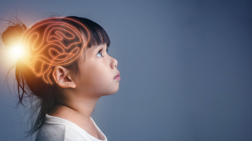 How to Support a Healthy Aging Brain