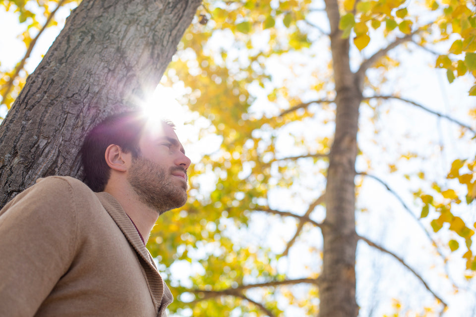 Why Vitamin D Is Important & How To Avoid A Deficiency