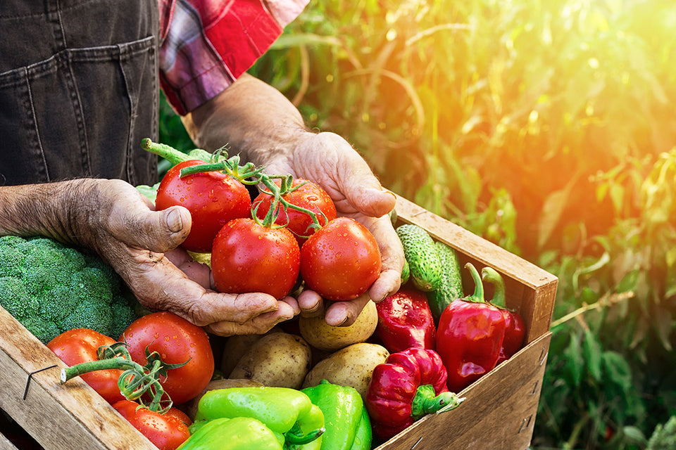 Get Ready for Summer Produce