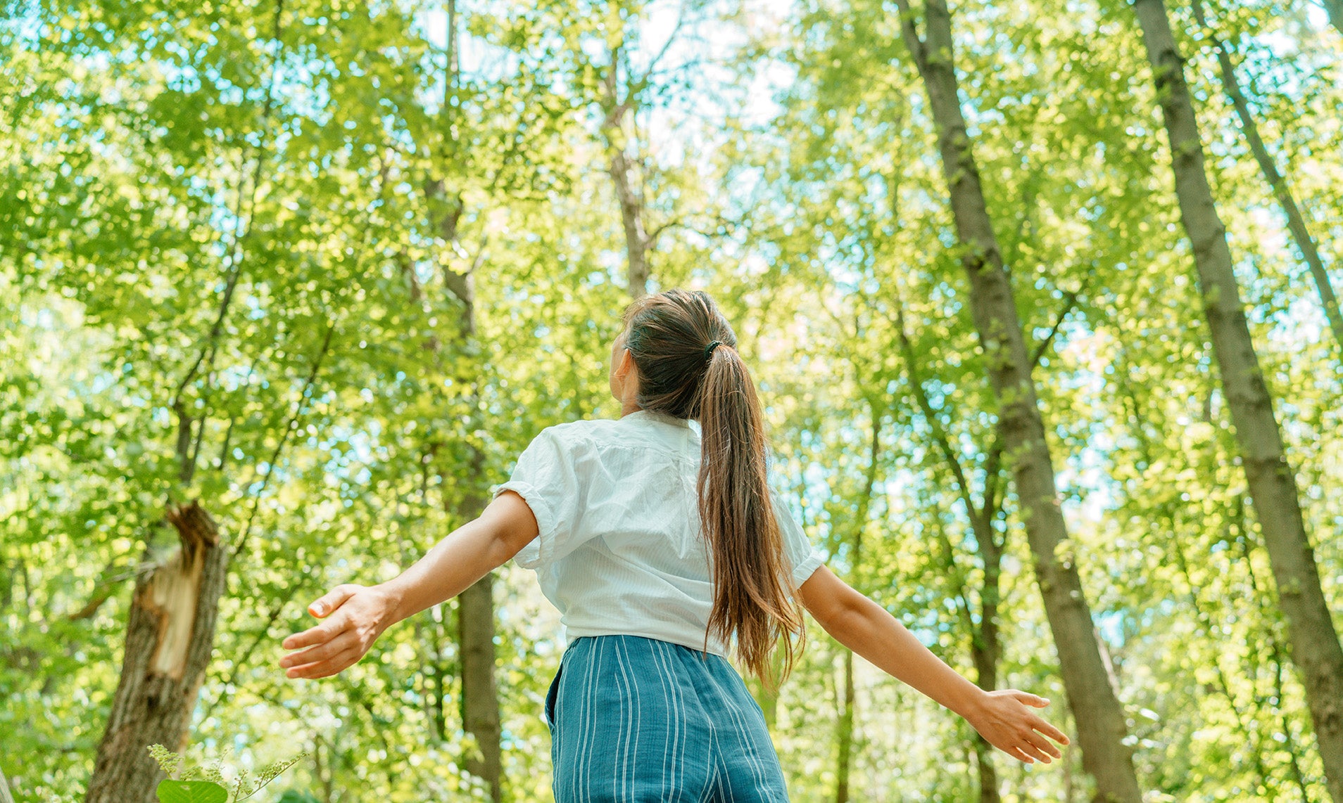 https://www.naturemade.com/cdn/shop/articles/walkinginnature.jpg?v=1689970328