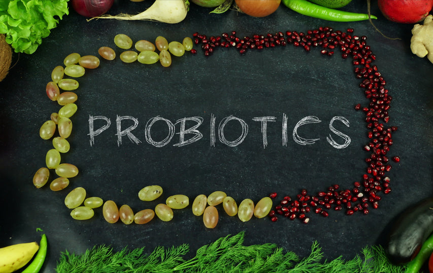 image for article - What Probiotics Are and Choosing the Probiotic Right for You