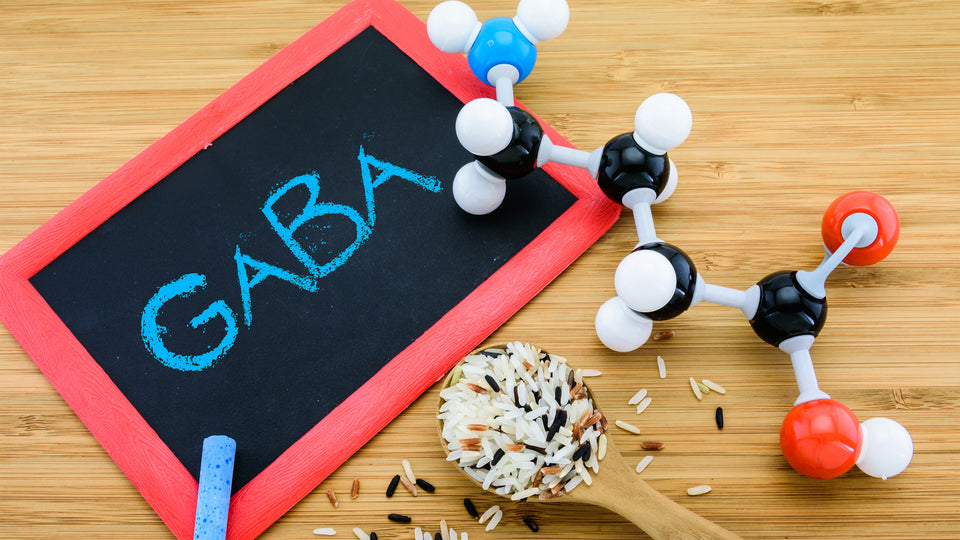 What is GABA & What Does GABA Do? All The Supplement's Benefits | Nature  Made®