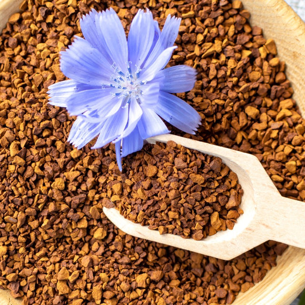 A close-up top-down view of chicory root and a single light blue flower placed on top.