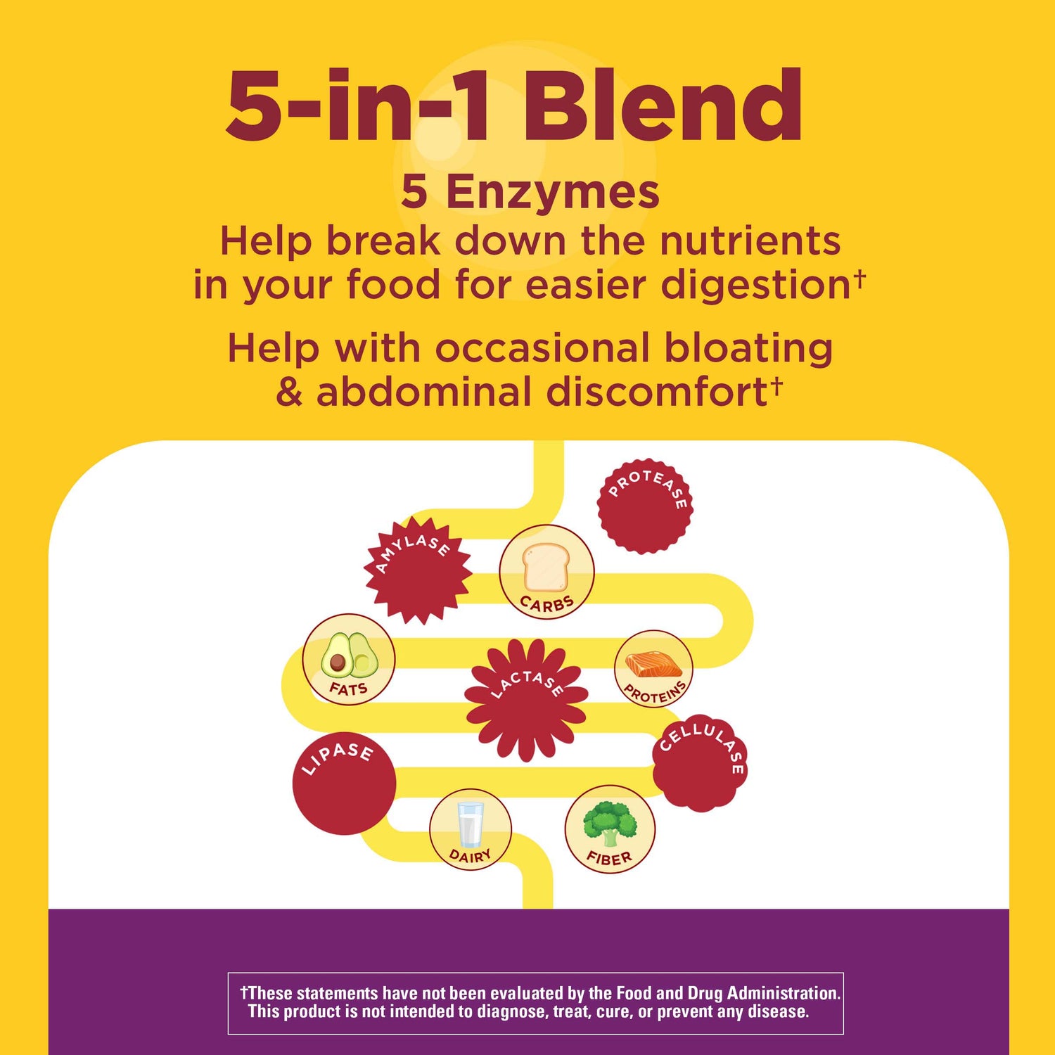 Digestive Enzymes 5-in-1 Blend Chewable Tablets | 5-in-1 Blend containing 5 enzymes for digestion on a yellow and purple background with an illustration of the digestion process.