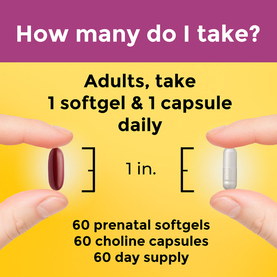 Prenatal Multi Softgels + Choline Capsules & Nature Made®