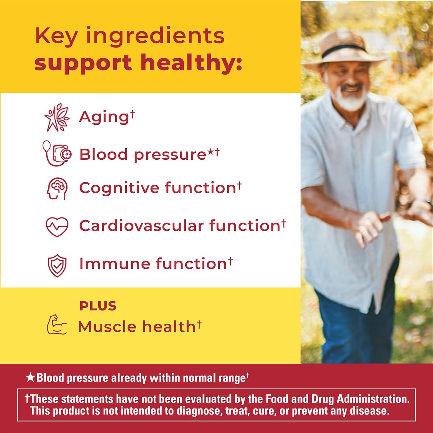 Advanced Multivitamin 50+ For Him Gummies | Graphic showing key ingredients that support healthy aging, blood pressure, cognitive function, cardiovascular health, immune function, and muscle health on a yellow and red background.