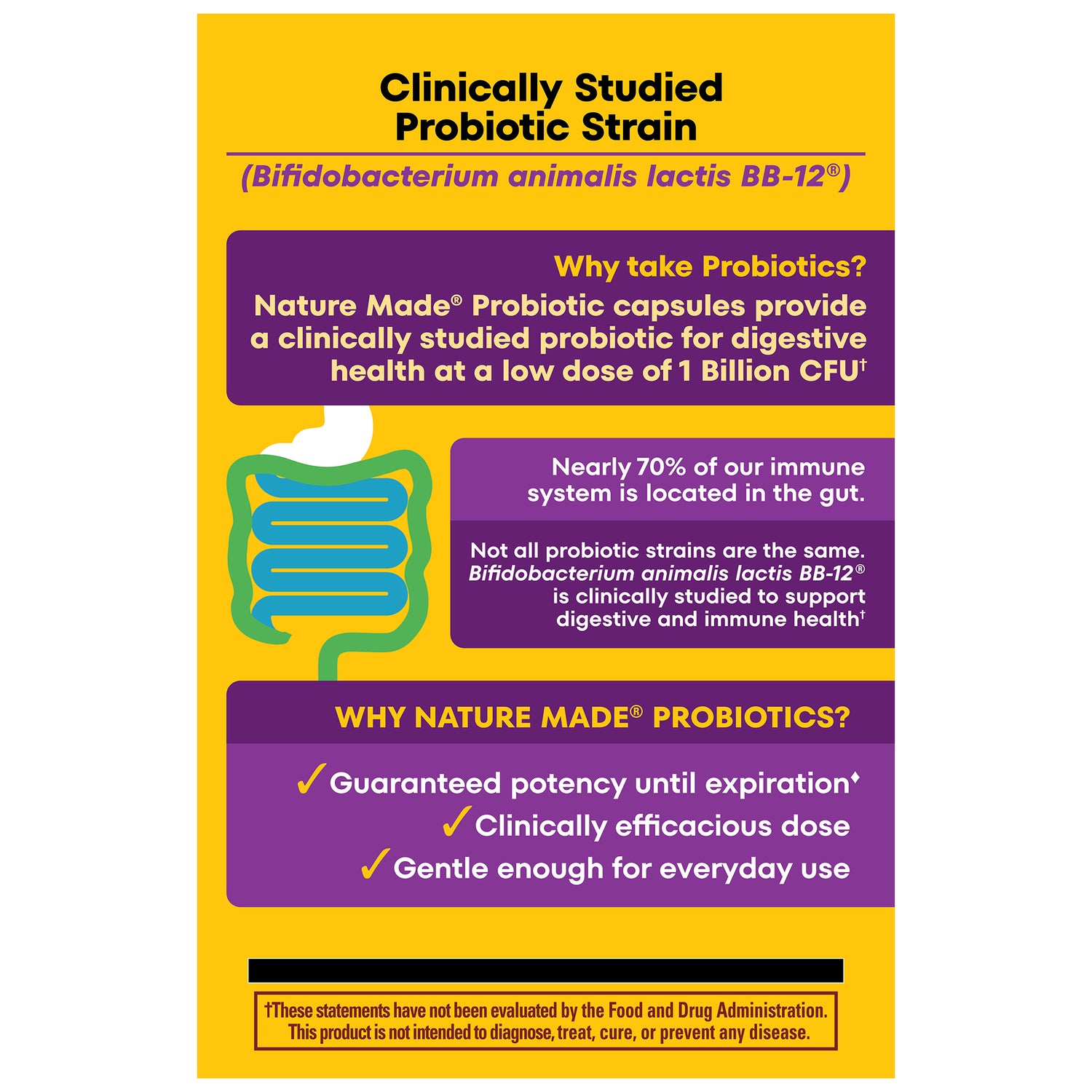 Probiotics 1 Billion CFU From Live Cultures Capsules | 