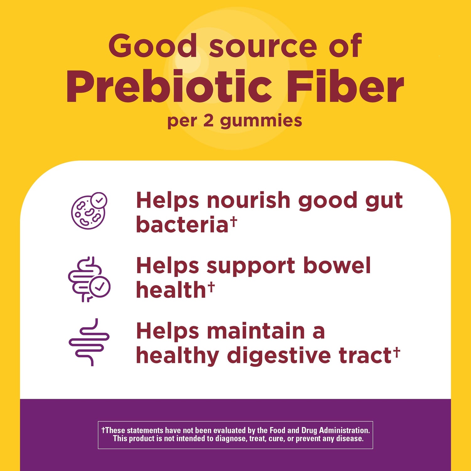 Probiotic + Prebiotic Fiber Gummies | Prebiotic fiber gummies helping nourish good gut bacteria and support bowel health.
