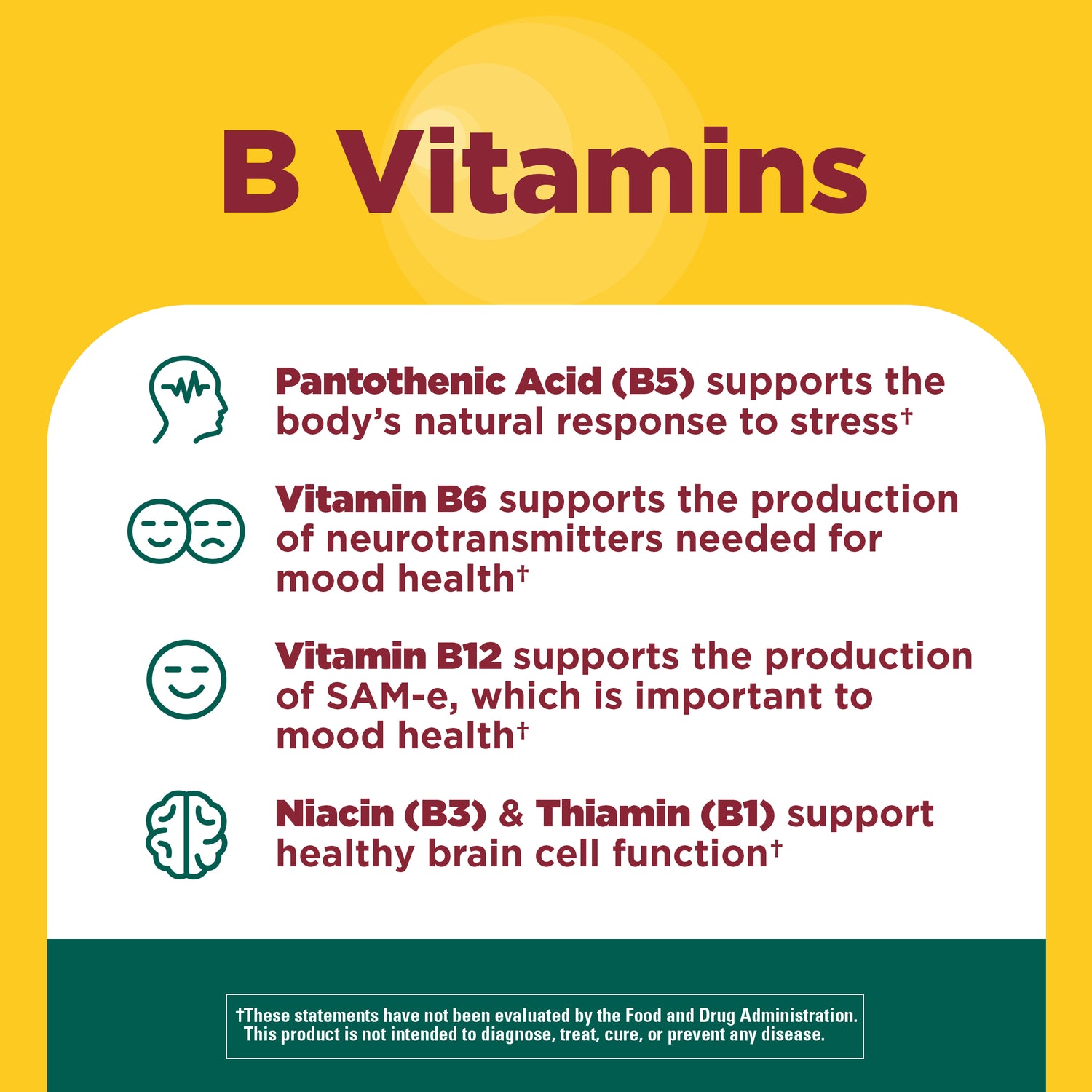 Focus Boost Capsules | Infographic about B vitamin blend benefits showing support for stress response, mood health, and healthy brain cell function.