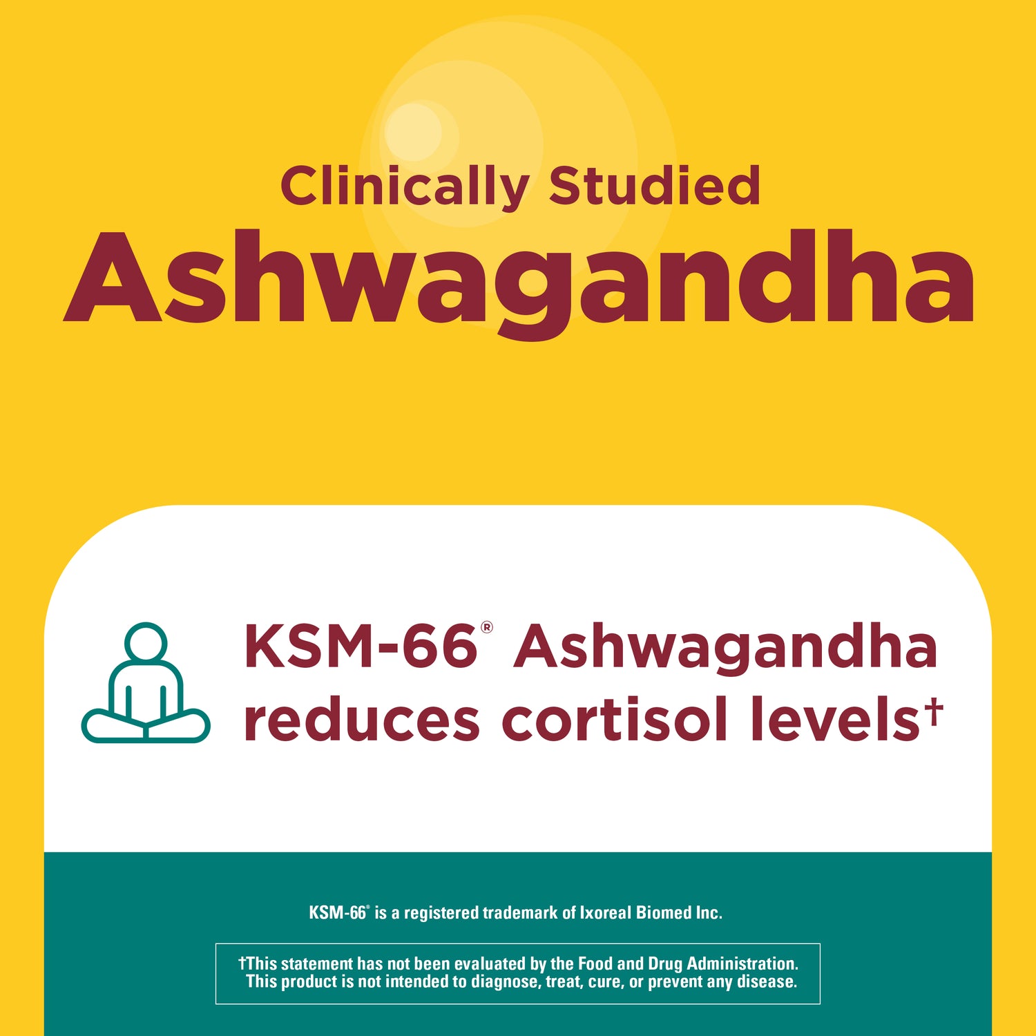 Ashwagandha + Reishi Mushroom Capsules | Clinically studied ashwagandha graphic highlighting KSM-66 ashwagandha to help reduce cortisol levels.