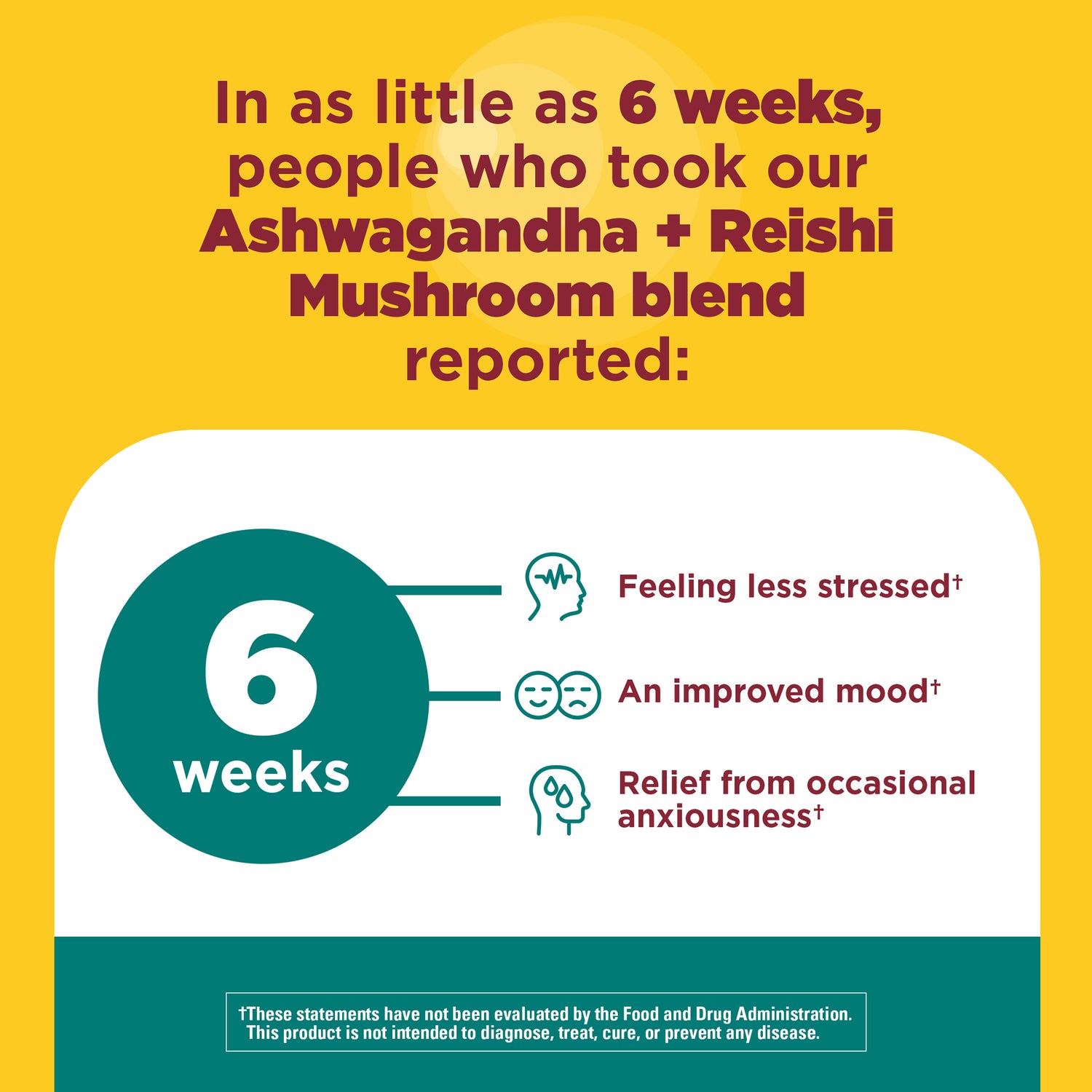 Ashwagandha + Reishi Mushroom Capsules | Promotional graphic for Ashwagandha + Reishi Mushroom blend with text on a yellow background