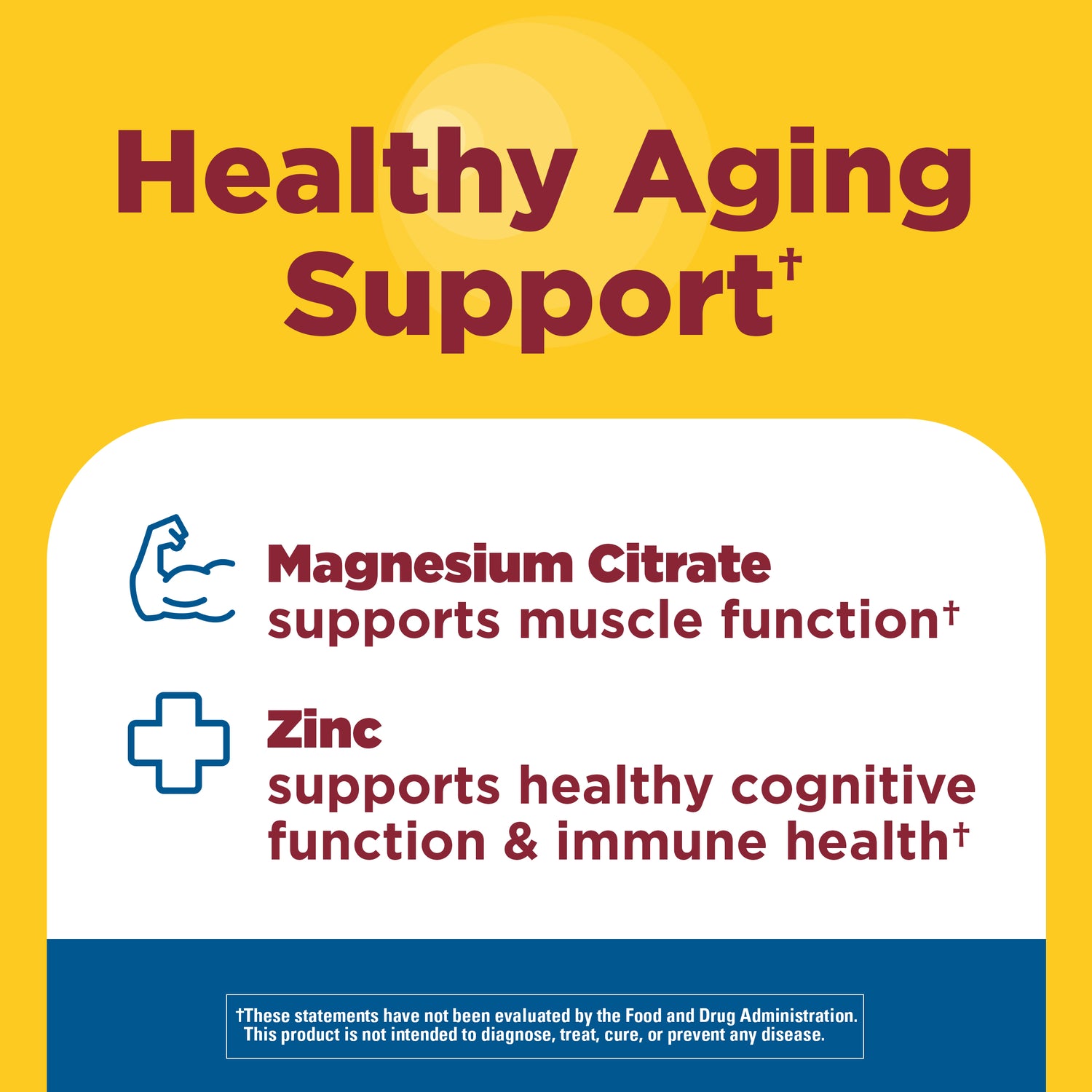 Shilajit + Magnesium Citrate, Zinc & Folic Acid Capsules | A yellow and white informational graphic for a supplement labeled 'Healthy Aging Support,' with text about Magnesium Citrate and Zinc and a blue footer disclaimer.