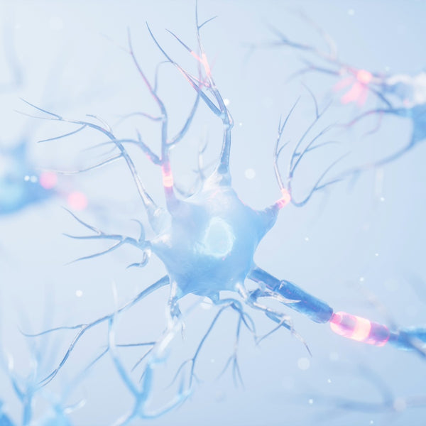 Illustration of interconnected nerve cells and neural pathways with glowing signal connections representing nerve health and nervous system communication.