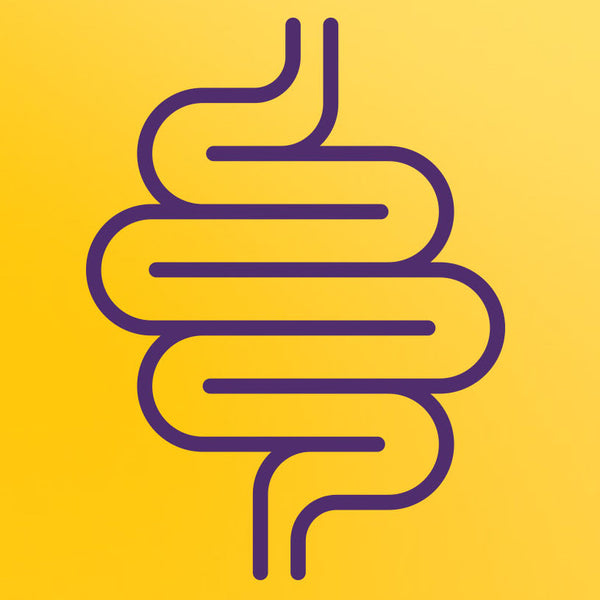 Your Gut Needs Good Bacteria
