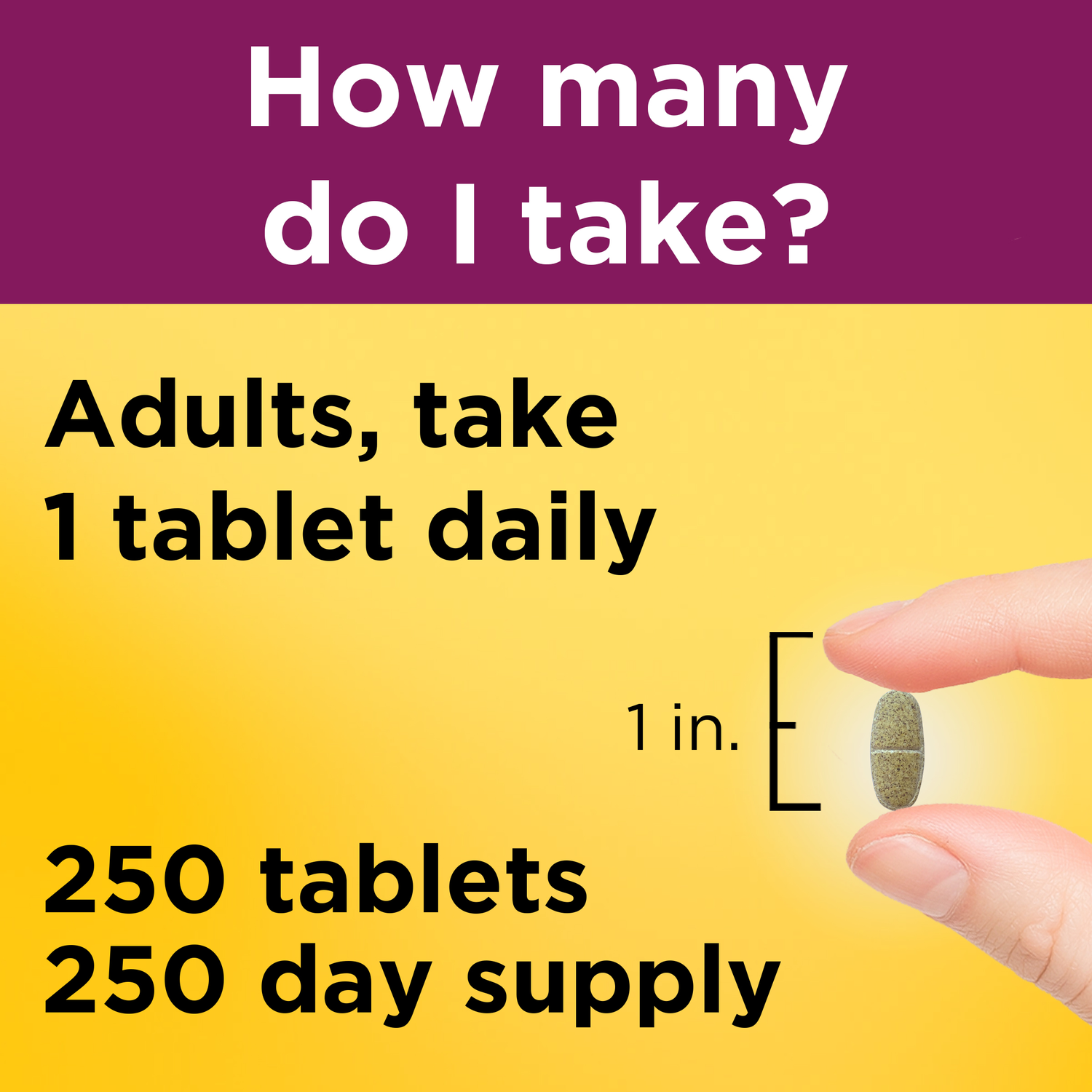 Prenatal Multivitamin Tablets | 250