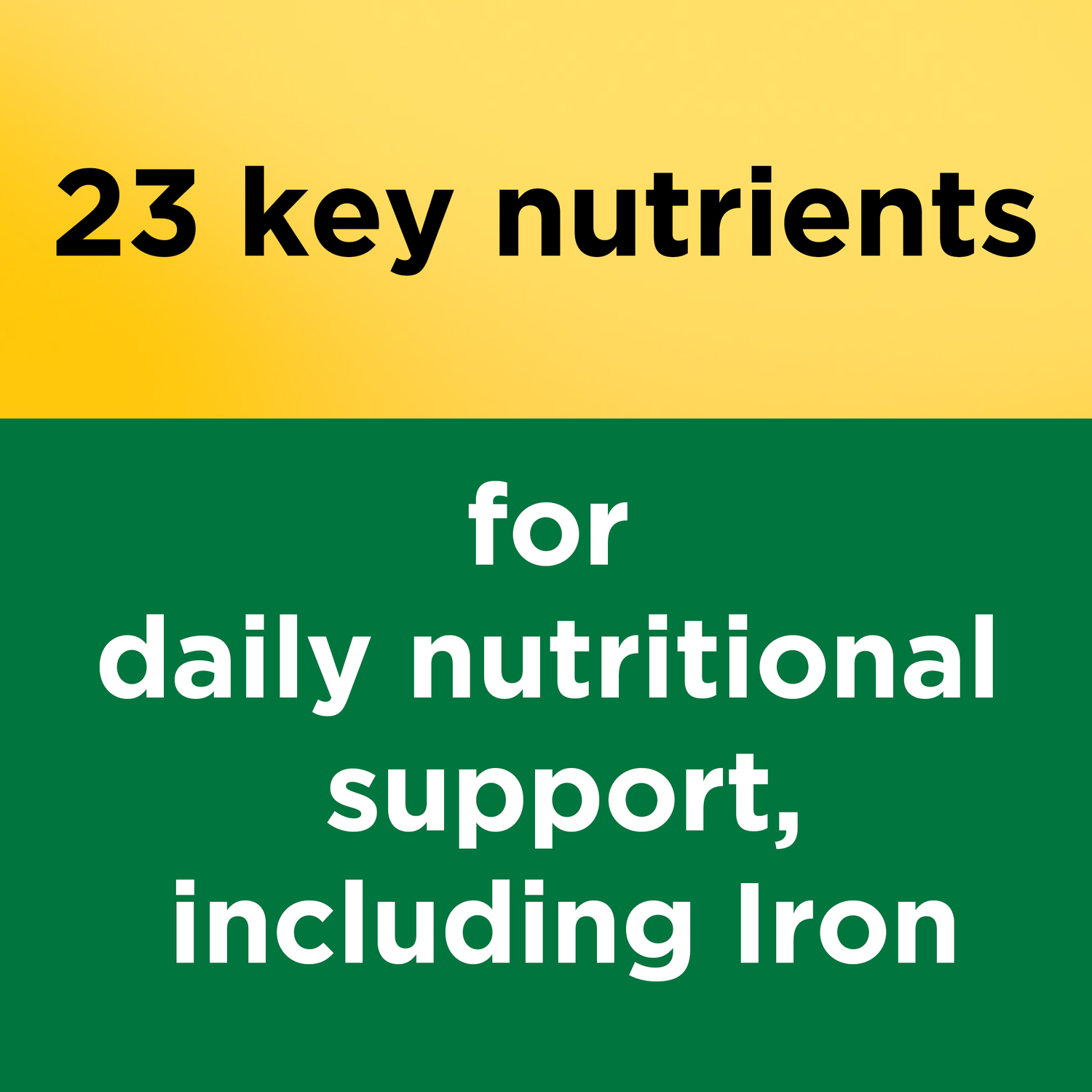 Multivitamin Tablets with Iron | 