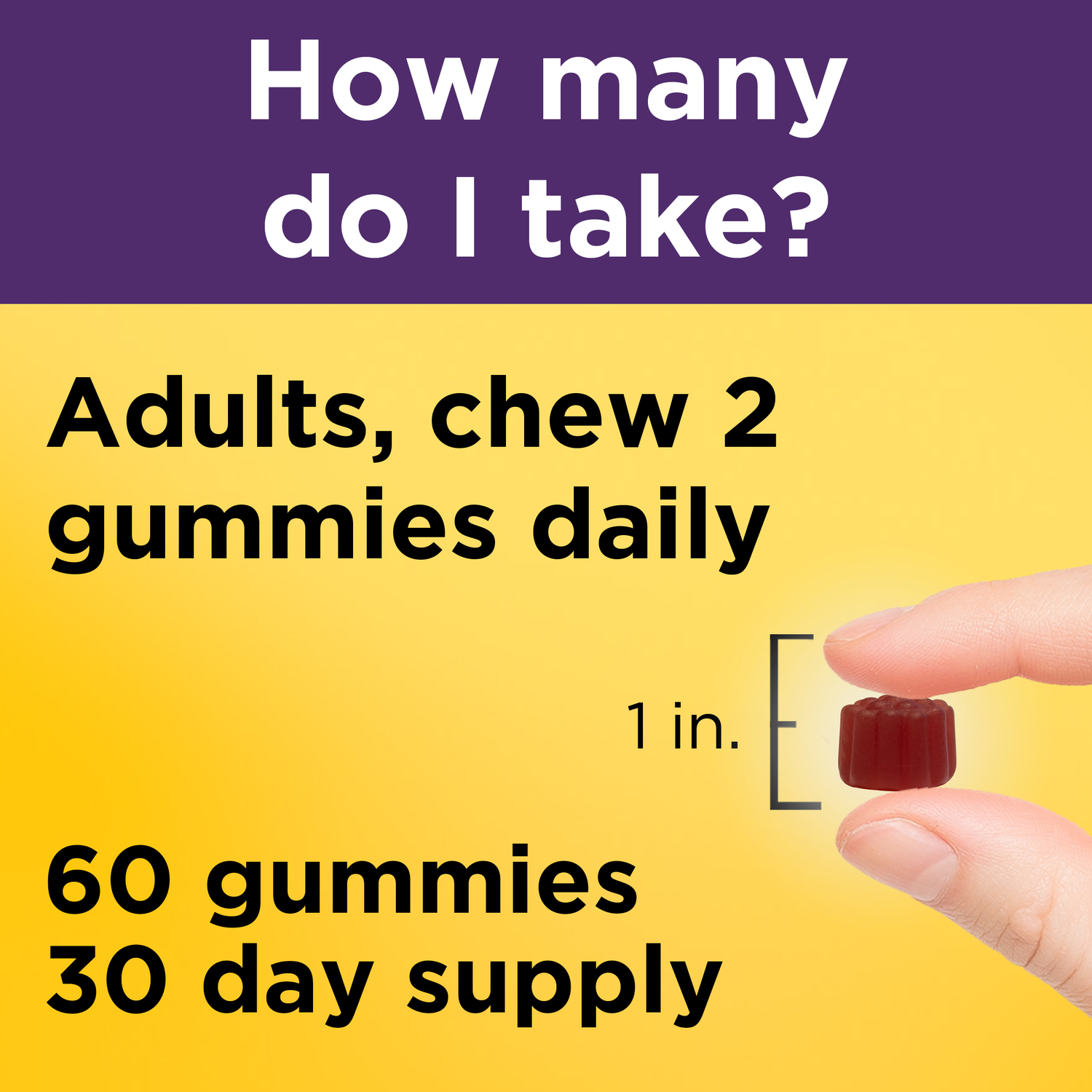 100 mg Elderberry Gummies with Vitamin C & Zinc | 60