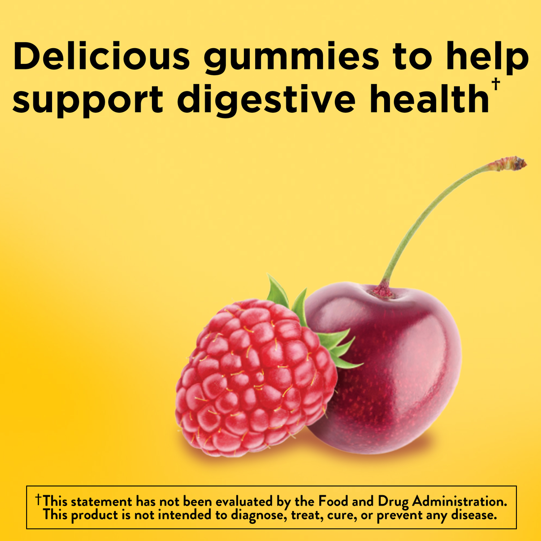 Nature Made Digestive Probiotics + Energy B12‡ Gummies