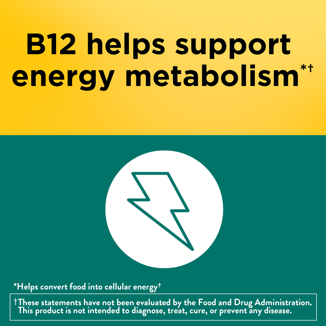 Nature Made Digestive Probiotics + Energy B12‡ Gummies