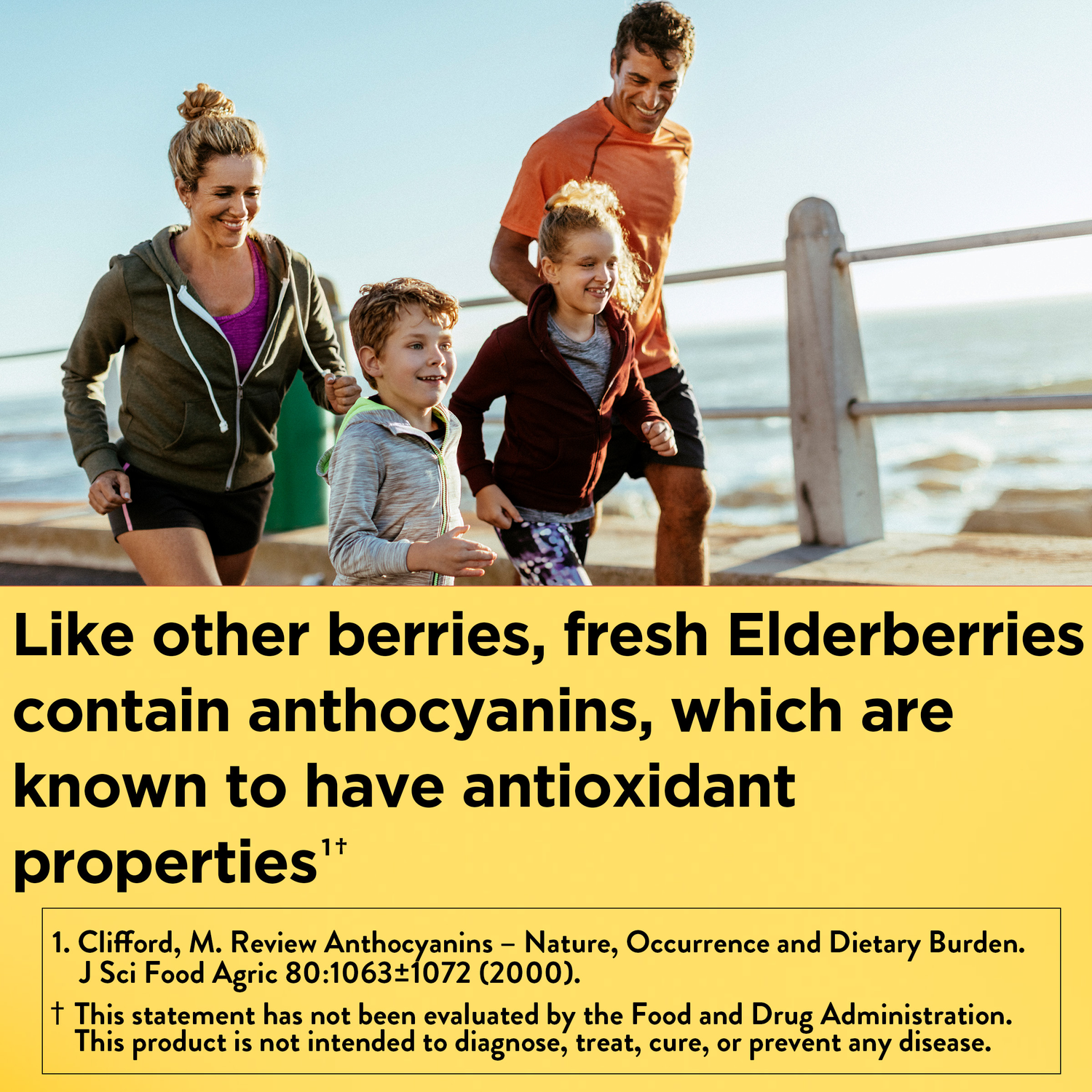 Elderberry Capsules with Vitamin C and Zinc | 